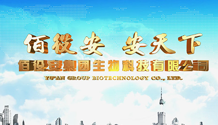 石家莊集團宣傳片拍攝_石家莊集團宣傳片拍攝制作